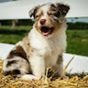 Meet your Posher, Sonya